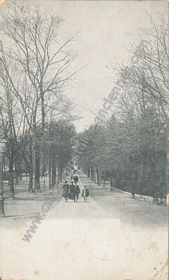 Carte postale ancienne Allée — Orléans (Loiret)