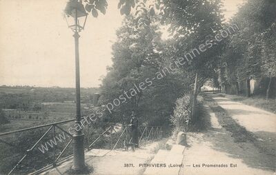 Carte postale ancienne Les Promenades Est — Pithiviers (Loiret)