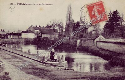 Carte postale ancienne Mare de Marcereau — Pithiviers (Loiret)