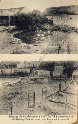Carte postale ancienne Chesnes — Saint-Péravy-la-Colombe (Loiret)