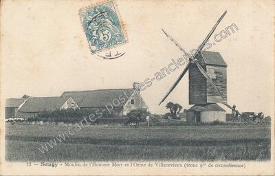 Carte postale ancienne Moulin de l'Homme Mort et l'Orme de Villecevieux (tronc 9m de circonférence) — Sougy (Loiret)