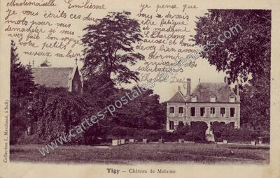 Carte postale ancienne Château de Molaine — Tigy (Loiret)