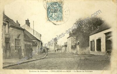 Carte postale ancienne Environs de Pithiviers. - La Route de Pithiviers — Chilleurs-aux-Bois (Loiret)