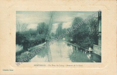 Carte postale ancienne Un Bras du Loing - Avenue de la Gare — Montargis (Loiret)