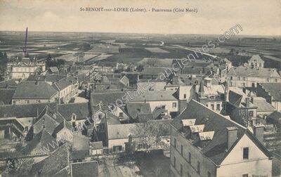 Carte postale ancienne Panorama (Côté Nord) — Saint-Benoît-sur-Loire (Loiret)