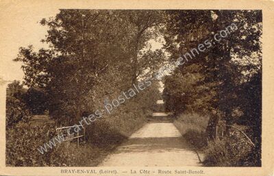 Carte postale ancienne La Côte - Route Saint-Benoît — Bray en Val (Loiret)