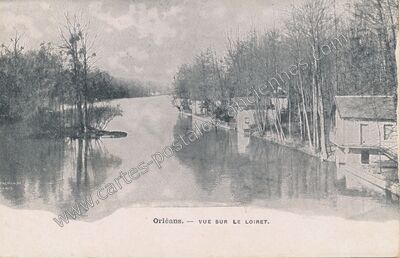 Carte postale ancienne Vue sur le Loiret — Orléans (Loiret)