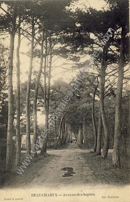 Carte postale ancienne Avenue des Sapins — Beauchamp (Val-d'Oise)