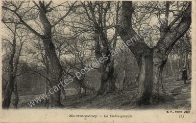Carte postale ancienne La Châtaigneraie — Montmorency (Val-d'Oise)