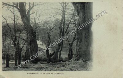 Carte postale ancienne Un coin de l'Ermitage — Montmorency (Val-d'Oise)
