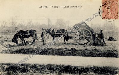 Carte postale ancienne Village — Dans les Champs — Antony (Hauts-de-Seine)