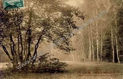 Carte postale ancienne Parc st Cloud — Saint-Cloud (Hauts-de-Seine)