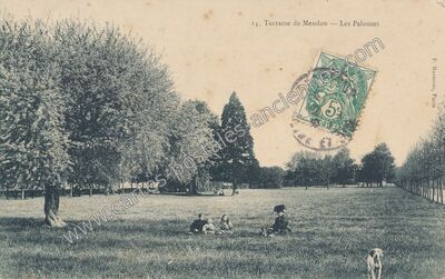 Carte postale ancienne Terrasse de Meudon - Les Pelouses — Meudon (Hauts-de-Seine)