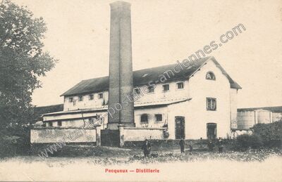 Carte postale ancienne Pecqueux — Aubepierre-Ozouer-le-Repos (Seine-et-Marne)