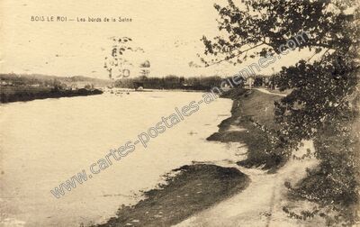 Carte postale ancienne Les bords de la Seine — Bois-le-Roi (Seine-et-Marne)