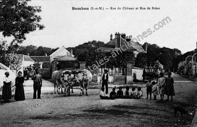 Carte postale ancienne Rue du Château et Rue de Bréau — Bombon (Seine-et-Marne)