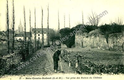 Carte postale ancienne Vue prise des Ruines du Château — Brie-Comte-Robert (Seine-et-Marne)
