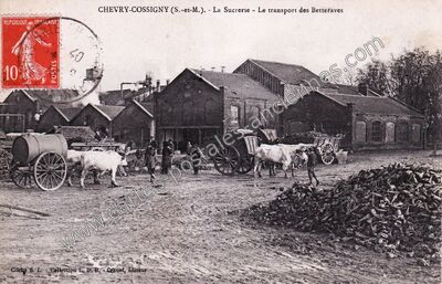 Carte postale ancienne Chevry Cossigny — Crèvecœur-en-Brie (Seine-et-Marne)