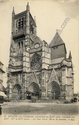 Carte postale ancienne Meaux cat — Meaux (Seine-et-Marne)