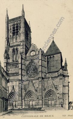 Carte postale ancienne Meaux cat — Meaux (Seine-et-Marne)