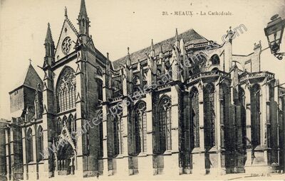 Carte postale ancienne Meaux cat — Meaux (Seine-et-Marne)