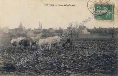 Carte postale ancienne Vue Générale — Le Pin (Seine-et-Marne)