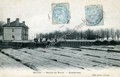 Carte postale ancienne Route de Paris. — Rosiériste — Servon (Seine-et-Marne)