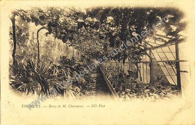 Carte postale ancienne Serre de M. Charmeux — Thomery (Seine-et-Marne)