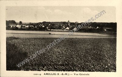 Carte postale ancienne Vue Générale — Amillis (Seine-et-Marne)