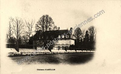 Carte postale ancienne Chateau d'Amillis — Amillis (Seine-et-Marne)
