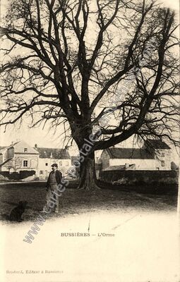 Carte postale ancienne L'Orme — Bussières (Seine-et-Marne)