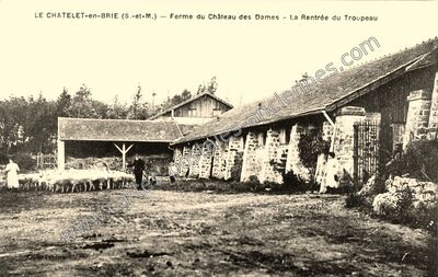 Carte postale ancienne Ferme du Château des Dames - La Rentrée du Troupeau — Le Châtelet-en-Brie (Seine-et-Marne)