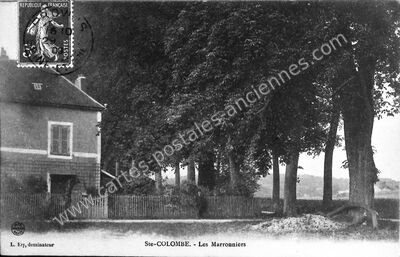 Carte postale ancienne Les Marronniers — Sainte-Colombe (Seine-et-Marne)