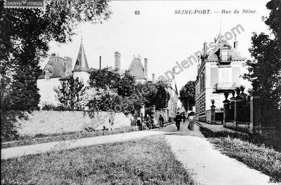 Carte postale ancienne Rue de Seine — Seine-Port (Seine-et-Marne)