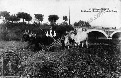 Carte postale ancienne Le Champ Fleuri et le Pont de Torcy — Vaires-sur-Marne (Seine-et-Marne)