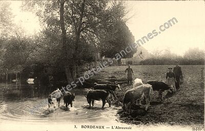 Carte postale ancienne Bordeaux — Villevaudé (Seine-et-Marne)