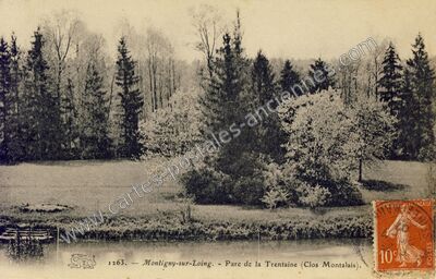 Carte postale ancienne Parc de la Trentaine (Clos Montalais) — Montigny-sur-Loing (Seine-et-Marne)