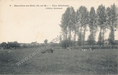 Carte postale ancienne Vue Générale — Marolles-en-Brie (Seine-et-Marne)