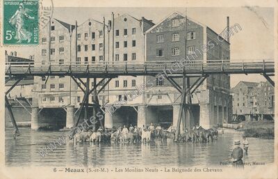 Carte postale ancienne Les Moulins Neufs - La Baignade des Chevaux — Meaux (Seine-et-Marne)