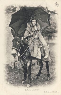 Carte postale ancienne Laitiere Cauchoise — Non Localisée (Seine-Maritime)