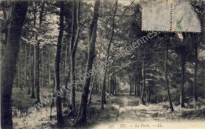 Carte postale ancienne La Forêt — Eu (Seine-Maritime)