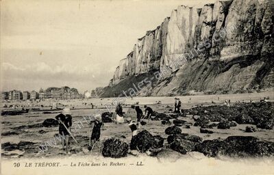 Carte postale ancienne La Féche dans les Rochers — Le Tréport (Seine-Maritime)