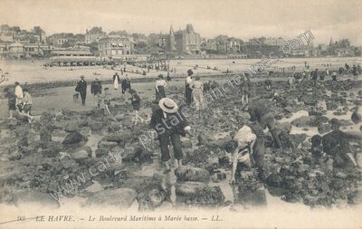 Carte postale ancienne Le Boulevard Maritime à Marée basse — Le Havre (Seine-Maritime)