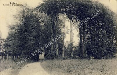 Carte postale ancienne Tôtes