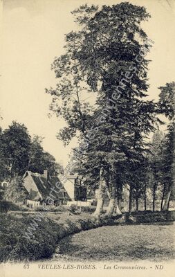 Carte postale ancienne Les Cressonnières — Veules-les-Roses (Seine-Maritime)