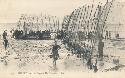 Carte postale ancienne Les Parcs à Marée basse — Dieppe (Seine-Maritime)