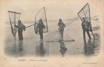 Carte postale ancienne Pêcheurs de Crevettes — Dieppe (Seine-Maritime)