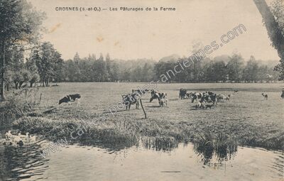Carte postale ancienne Les Pâturages de la Ferme — Crosne (Essonne)