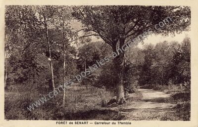 Carte postale ancienne Foret de Senart — Étiolles (Essonne)