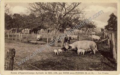 Carte postale ancienne Fontenay-lès-Briis